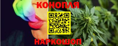 крисы Гусев